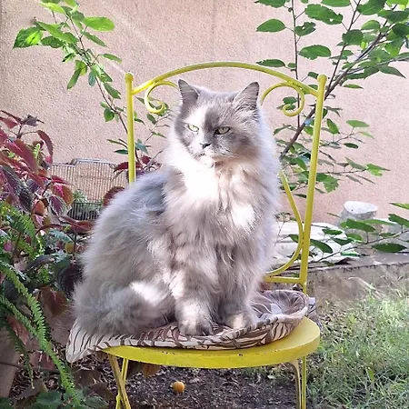 Apartamento Marica & Comfortable 1 Bedroom & Old View