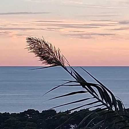 Apartamento Marica & Comfortable 1 Bedroom & Old View *