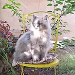 דירה Marica & Comfortable 1 Bedroom & Old View