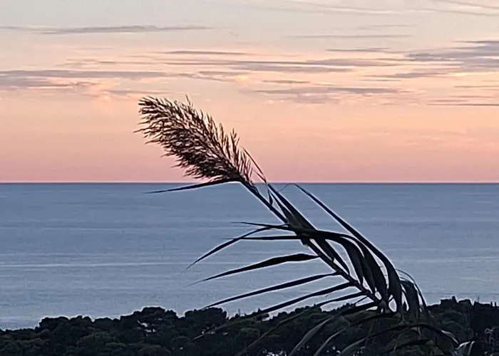 Apartman Marica & Comfortable 1 Bedroom & Old View *